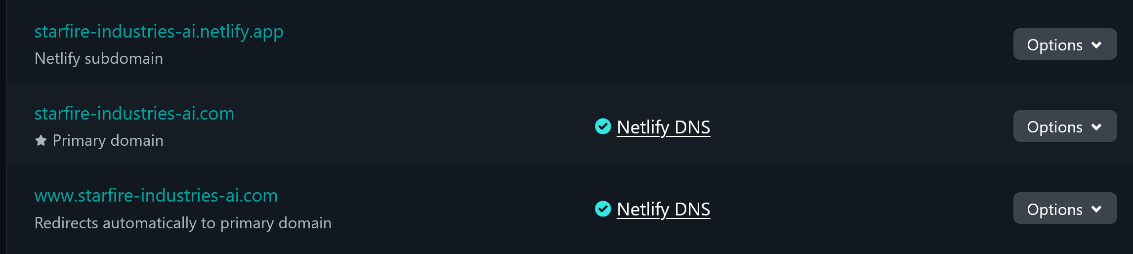 Netlify DNS Setup